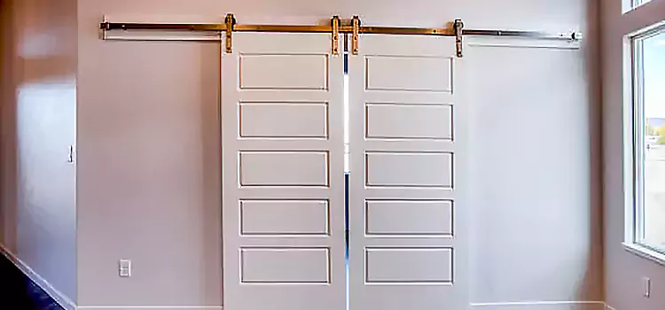 Glass Barn Door with Installation Hardware Kit Bixby
